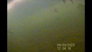 Рыбалка у дома 4 марта 2023 года