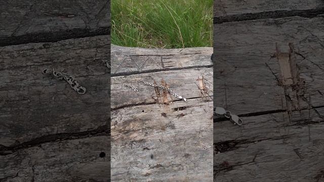 Обряд. Снять Неудачи и Невезения. Да Разорвутся круг Несчастий и Неудач . смотреть онлайн