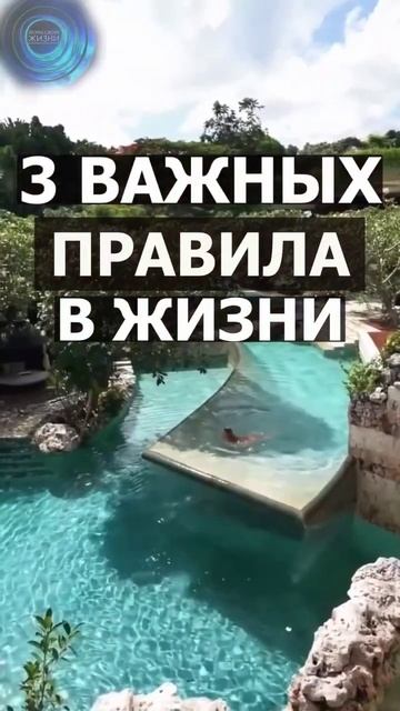 3 правила на успех #успех #правилажизни #правилауспеха