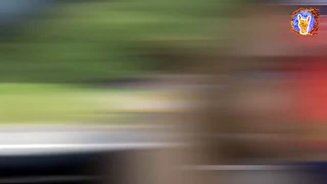 Coubality! Best coub, лучшее coub, выпуск #10 смотреть онлайн