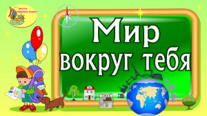 Мир вокруг тебя
