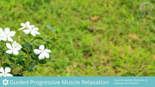 Progressive Muscle Relaxation Video