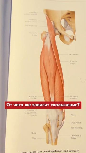 Разрушение хряща надколенника #больвколене #колено Ссылки на упражнения в описании профиля!