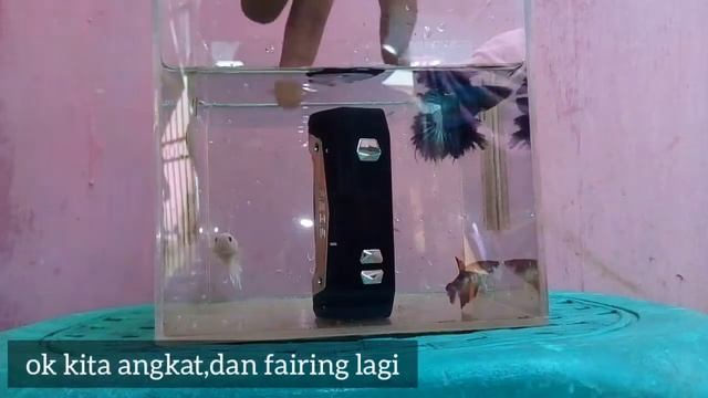 Vape Aegis Max Si anti air смотреть онлайн