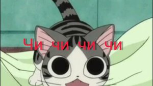 кошечка чи