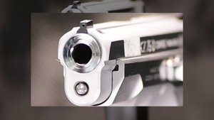 CZ 75 Compact Stainless Custom