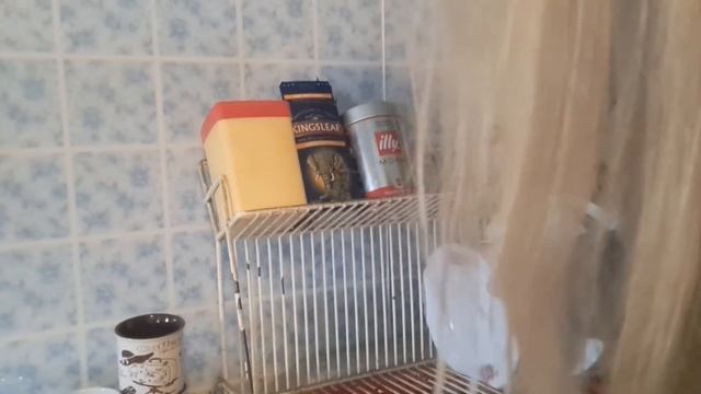 Ночуємо на дачі без опалення🏠 Корчуємо старі дерева і саджаємо нові🌳 смотреть онлайн