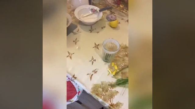 Как делать коктейль Мохито 😍👍🏻 смотреть онлайн