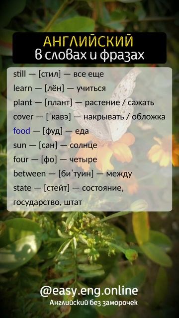 👉 ПРОИЗНОШЕНИЕ В АНГЛИЙСКОМ | 🔔 Аудио-уроки английского онлайн слушать бесплатно