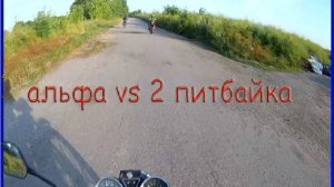 Совместные покатушки на альфе