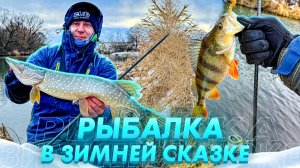 ПРИМАНКА НОМЕР ОДИН НА МАЛОЙ РЕКЕ! СТОЛЬКО ЩУКИ Я ДАВНО НЕ ЛОВИЛ!