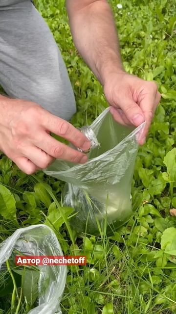 Малосольные огурцы в пакете | Лайфхаки от Нечетова | nechetoff |ПОДПИШИСЬ ⬇️🔔 #Shorts смотреть онлайн