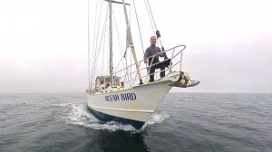 Курильские хроники. СИМУШИР, ХАРИМКОТАН, ОНЕКОТАН.