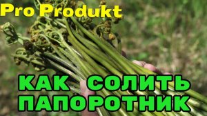 Как солить папоротник