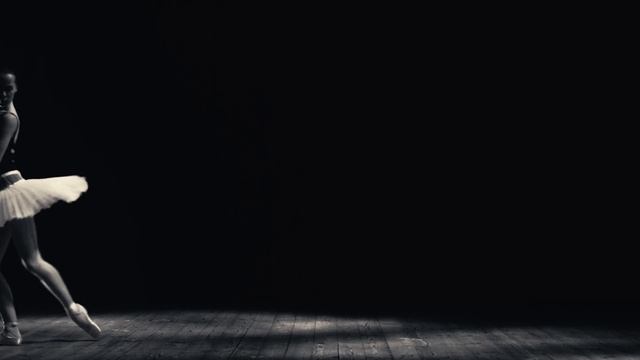 ADAM project - Sea-Gulls  Comme La Pluie Teaser1