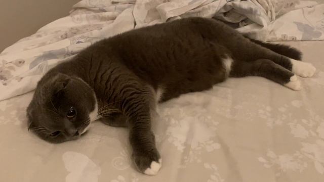 Пора спать)) смотреть онлайн