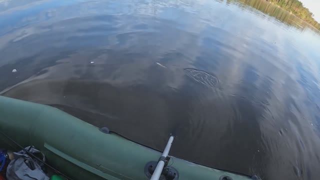 🎣БЫЛА И НЕТ🎣 #fishing #рыбалка#carpfishing#fishing #рыбалка #ловля#рыбалка#ловлящуки#природа#щука