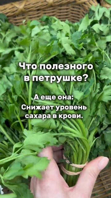 Чем полезная петрушка? #пряныетравы #огород