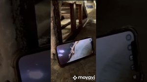 масло Татнефть переходим на отечественного производителя