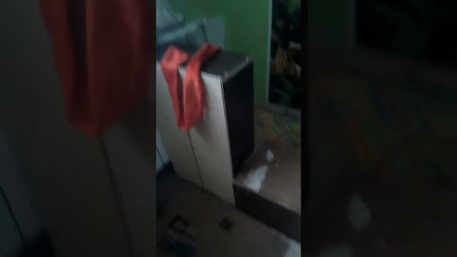 дом для Кузи смотреть онлайн