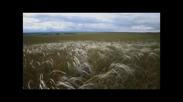 🐺 Ислам Идигов -Тоска по Казахстану (кавер-версия) 🐺 смотреть онлайн