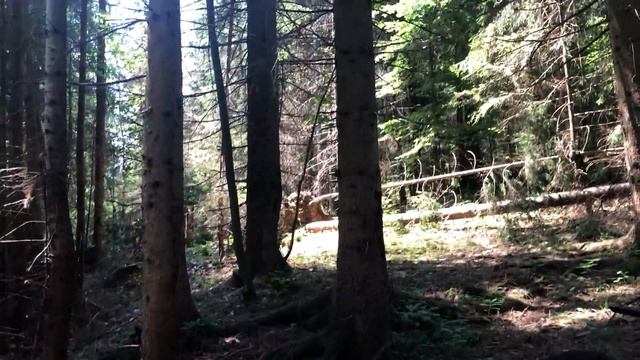 Hojdacia sieť 180x80cm od Miltecu SK