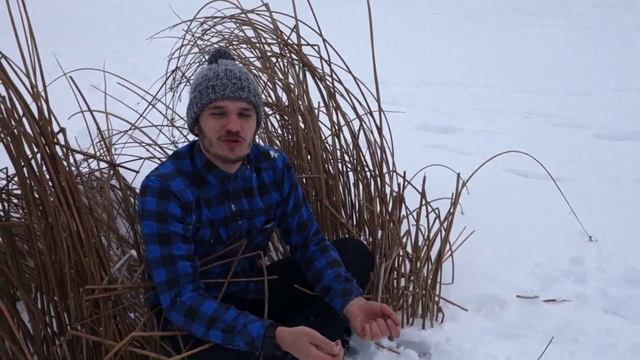 Приглашаем отмечать Новый год в лесу смотреть онлайн