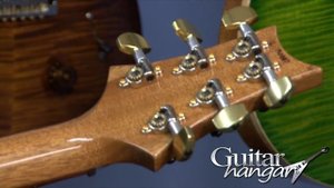 Paul Reed Smith PRS P24 Limited Edition Piezo Electric Guitar | GuitarHangar.com