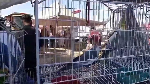 gal ao mella new vedio.. shahab khan 904 . смотреть онлайн