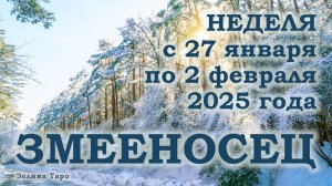 ЗМЕЕНОСЕЦ | ТАРО прогноз на неделю с 27 января по 2 февраля 2025 года