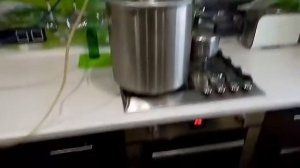 Ректификация на Доброваре Кудесница