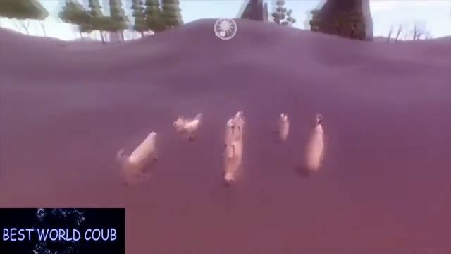 BEST WORLD COUB #79 Лучшие приколы