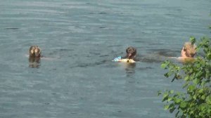 лягушка и головастик