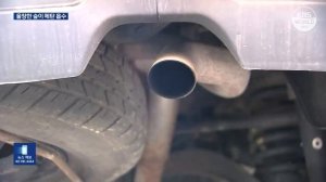 Лес вносит вклад в сокращение метана в атмосфере l KBS NEWS 230615