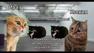 КОТОМЕМЫ - типичная тренировка в школе ирландского танца IRISLAND!