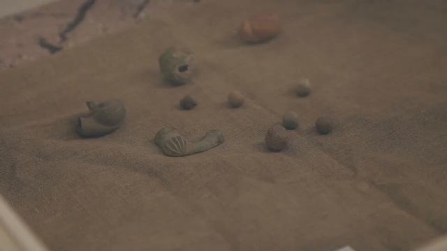 Открытие экспозиции "Летопись об Азовском осадном сидении" смотреть онлайн