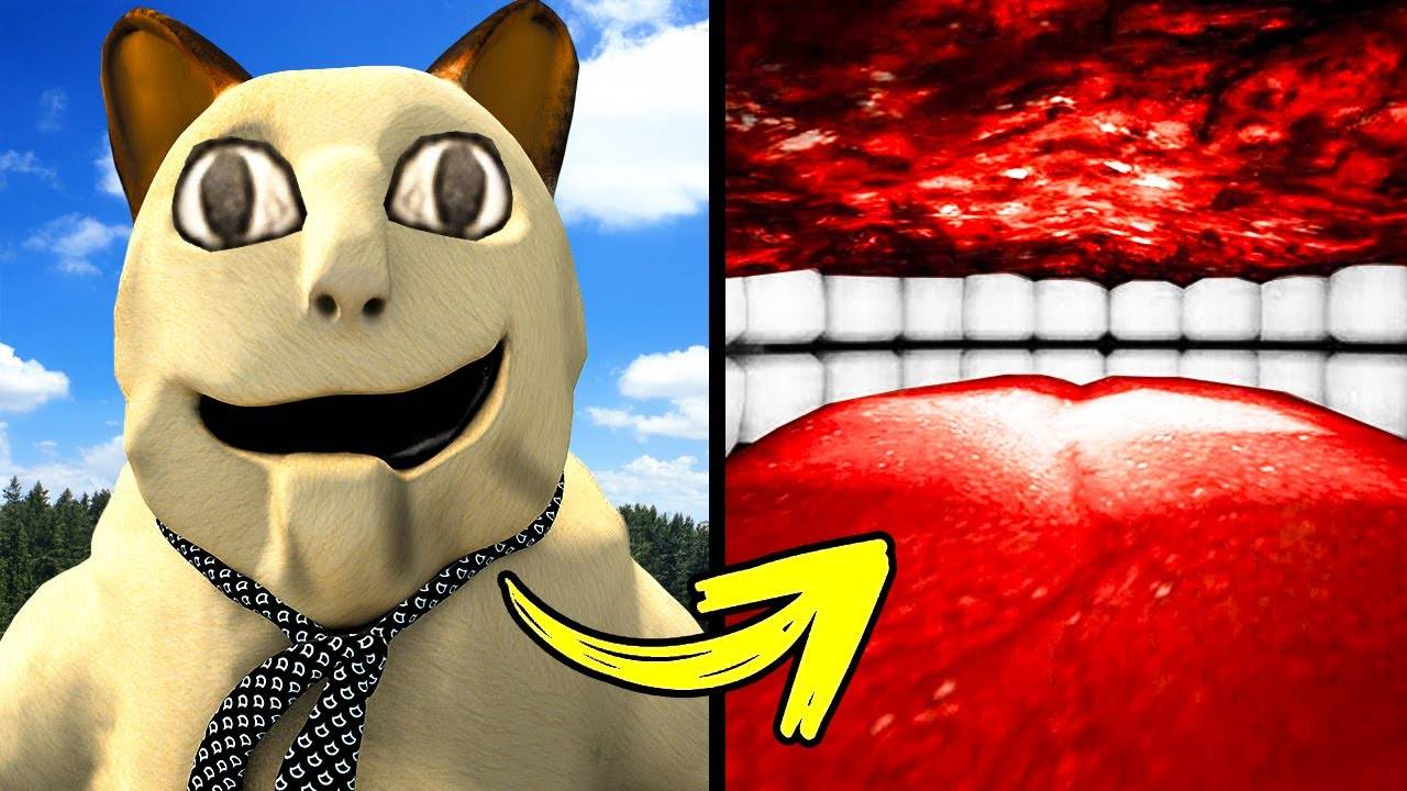 КАК ПОПАСТЬ ВНУТРЬ БУ ИСПУГАЛСЯ НЕ БОЙСЯ КОТ МЕМ В Garry's Mod