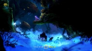 The Ginso Tree Escape for Frustrated Folks - Ori and the Blind Forest Walkthrough