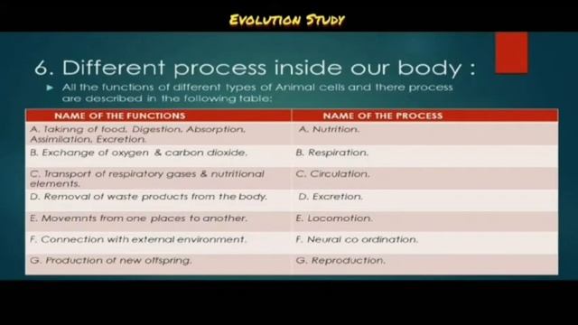 Structural organization of our body part -1 for class X(WB) by Swarnendu Roy смотреть онлайн