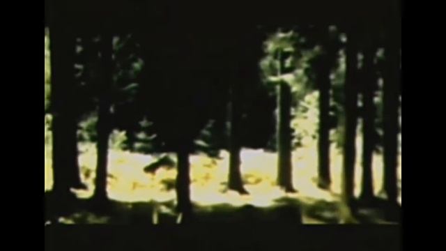 тизер2 смотреть онлайн