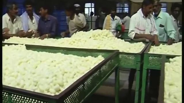 Sericulture in India.mp4