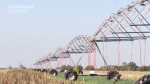 ТОВ "ТД" "Горностаївський Райагрохім" - один  з лідерів регіону
