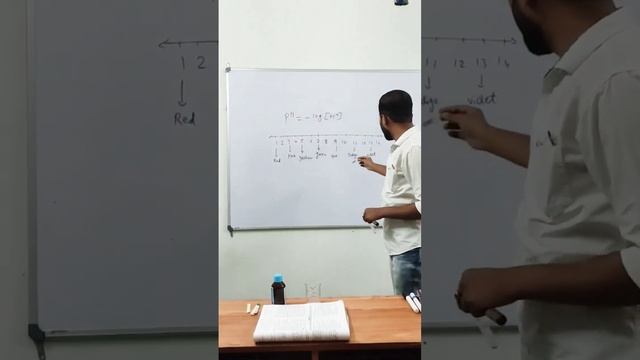 Test for Acidic and Basic Solutions. #chemistry #acid #base #solution #shorts #viral #class10 смотреть онлайн