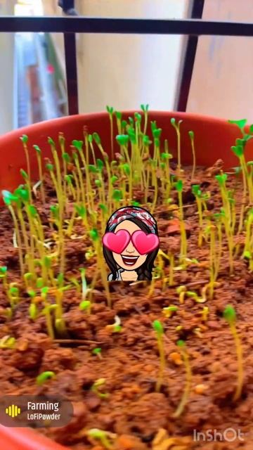 #𝓶𝓮𝓷𝓽𝓱𝓲 𝓹𝓵𝓪𝓷𝓽𝓼# смотреть онлайн