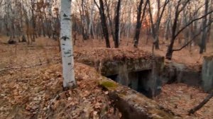 12й укрепрайон Благовещенск.Бункера.Лес