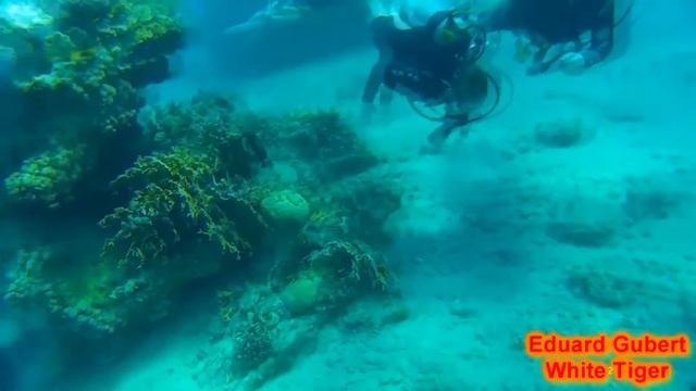 Eilat Red Sea смотреть онлайн