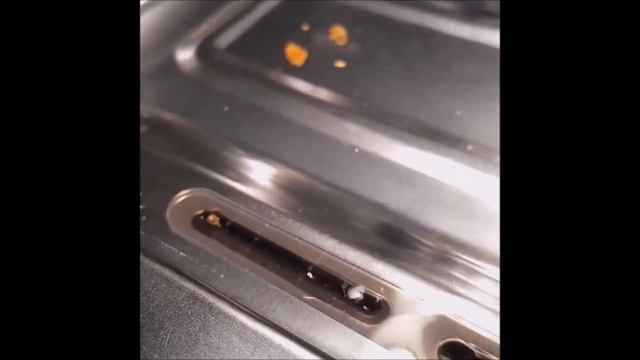 Stainless Steel Dog Water Fountain, 3 Gallon Extra Large by Lesotc смотреть онлайн