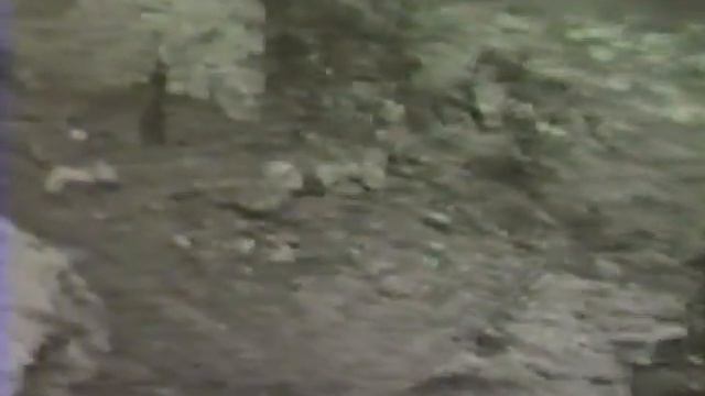 * mm film by Newton Field смотреть онлайн