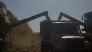 дві ниви і газ 4509