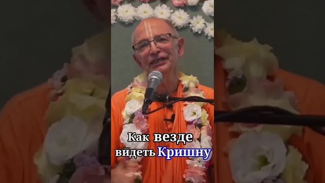 Как везде видеть Кришну - Бхакти Вигьяна Госвами